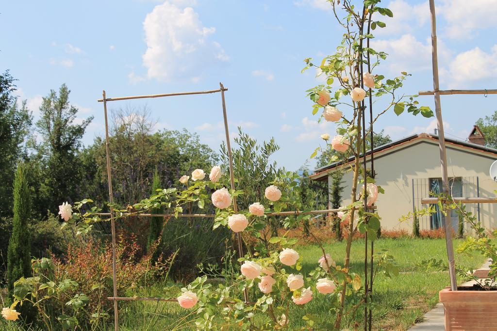 Agriturismo Dimore Di Poggianto Pergine Valdarno Dış mekan fotoğraf