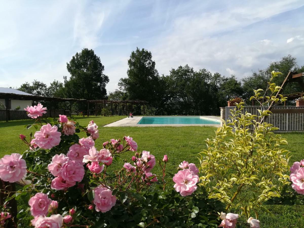 Agriturismo Dimore Di Poggianto Pergine Valdarno Dış mekan fotoğraf